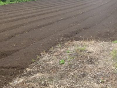 農地の売却は可能ですか？